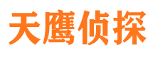 塔城侦探公司